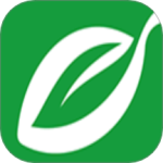 汕头橄榄台2024版