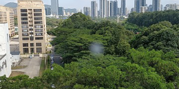 好用不收费的摄像摄影手机软件排行榜