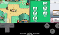 口袋妖怪心金一周目大全