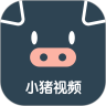 小猪视频高清版