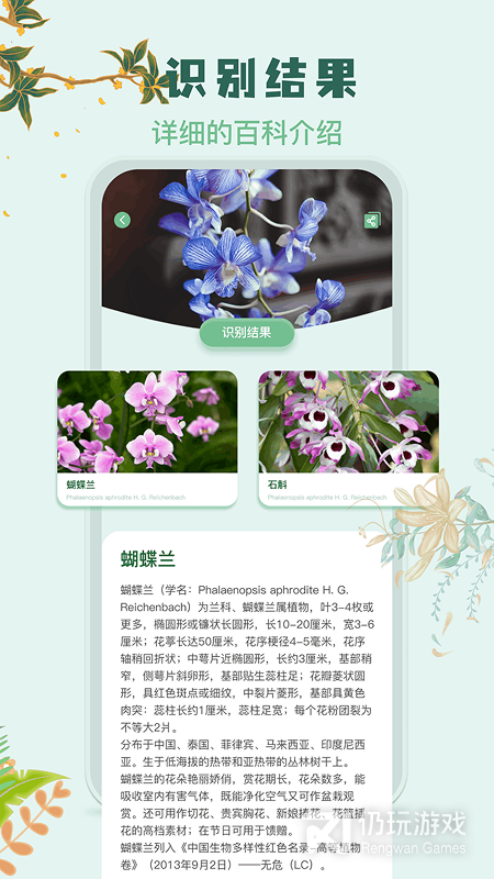 识花君