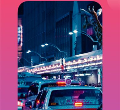 柚子视频所有版本手机软件合集