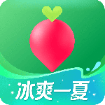叮咚买菜
