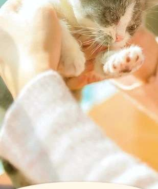 24小时更新资源动漫视频手机软件合集