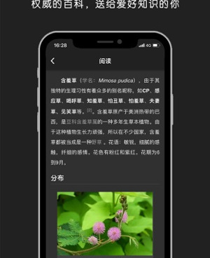 智能识图手机软件合集