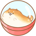 胖胖面包犬