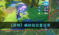 原神幽林枝位置详情