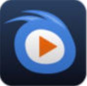 99精品视频精品版