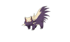 《宝可梦：明亮珍珠晶灿钻石》臭鼬噗宝可梦图鉴一览