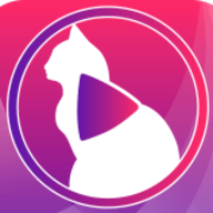 小猫直播xm88tv版