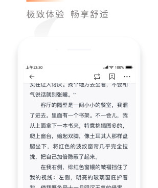 类似黑莓小说的手机软件合集