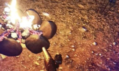 《森林》作弊码代码大全