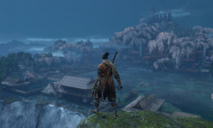 只狼源之宫如何走水路避雷指南