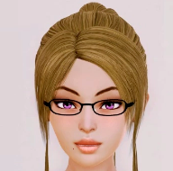 后宫酒店中文版