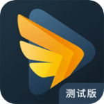 钉钉google play版
