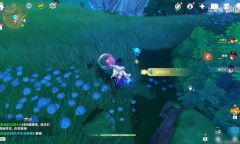 《原神》4.2湖光铃兰采集路线一览