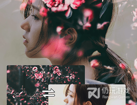 王者荣耀p图手机软件合集