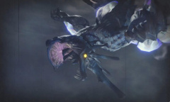 《怪物猎人：崛起》风神龙怪物介绍