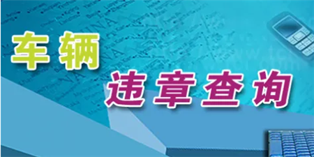 违章查询缴费手机软件合集