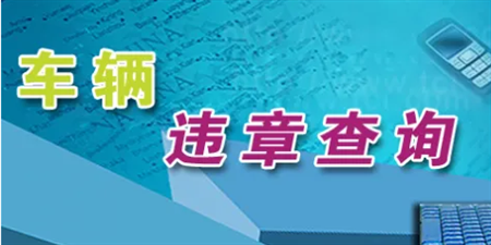 违章查询缴费手机软件合集