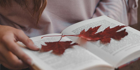 仿真阅读手机软件合集