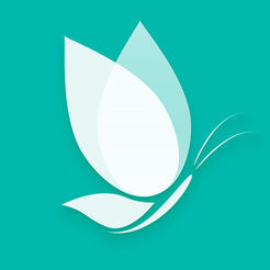 落初小说无删减版