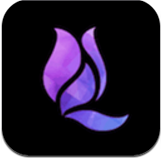 午夜兰花直播高清版