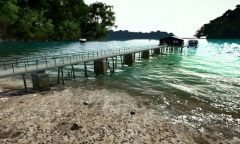 Steam每日特惠：《终极钓鱼模拟器》新史低23元