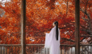 《侠女逍遥录》神都永安事件触发攻略一览