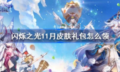 闪烁之光11月皮肤礼包免费领取攻略分享