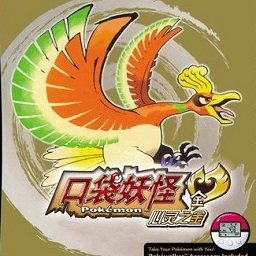 口袋妖怪金