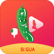 91丝瓜视频轻量版