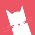 猫咪直播v1.6.6版本