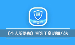 《个人所得税》查询工资明细方法