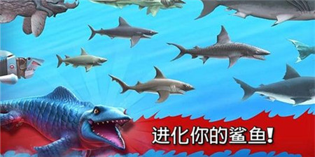 类似饥饿鲨进化的手游合集