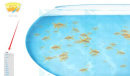 fishbowl金鱼测试怎么玩
