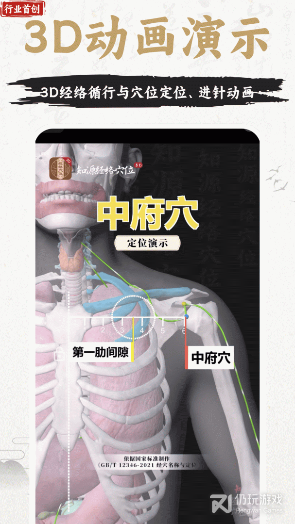 中济经络穴位