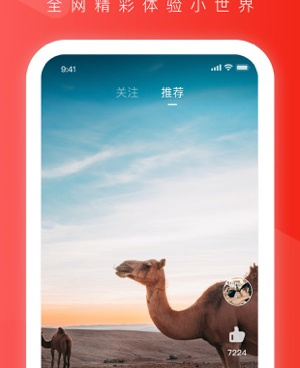 像91小视频这样的手机软件合集