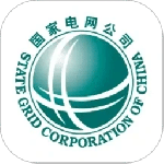网上国网最新版