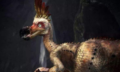 《怪物猎人：崛起》搔鸟怪物介绍