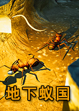 地下蚁国