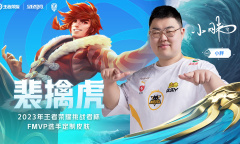 王者荣耀挑战者杯FMVP皮肤介绍