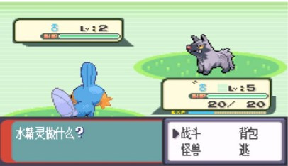 口袋妖怪红宝石386手游合集