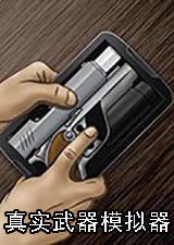 真实武器模拟器电脑版