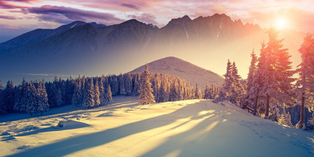 唯美主题壁纸手机软件合集