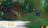 《英雄联盟》手游占卜花朵介绍