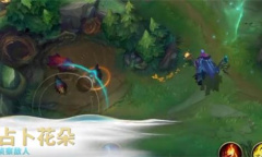《英雄联盟》手游占卜花朵介绍