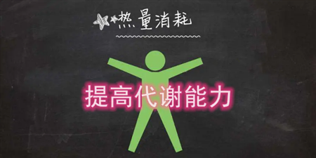 燃脂健身手机软件合集