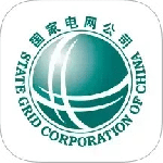 网上国网