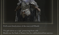 《艾尔登法环》葡萄牙语翻译偷懒？大段删除游戏文本